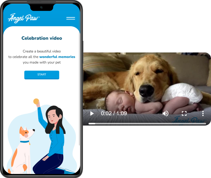 Celebration video with pets