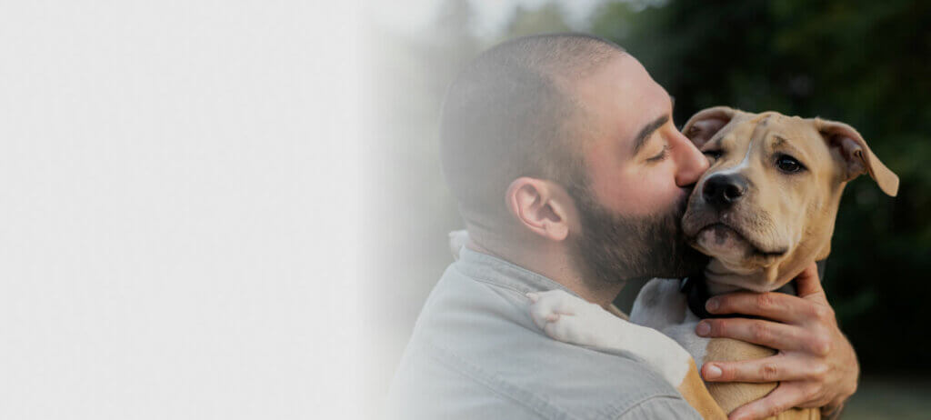Peaceful Pets DFW memorials after pet aquamation