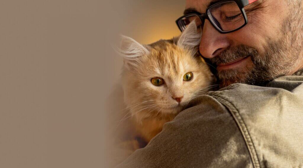 Peaceful Pets DFW - water-based cremation