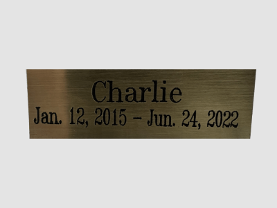 bronze name plate for pets
